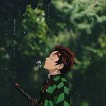 jiro Profile Picture