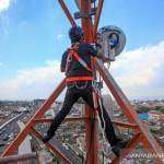 Nobby Lala Profile Picture