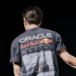 vversttappen Profile Picture