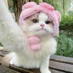 thal bie Profile Picture